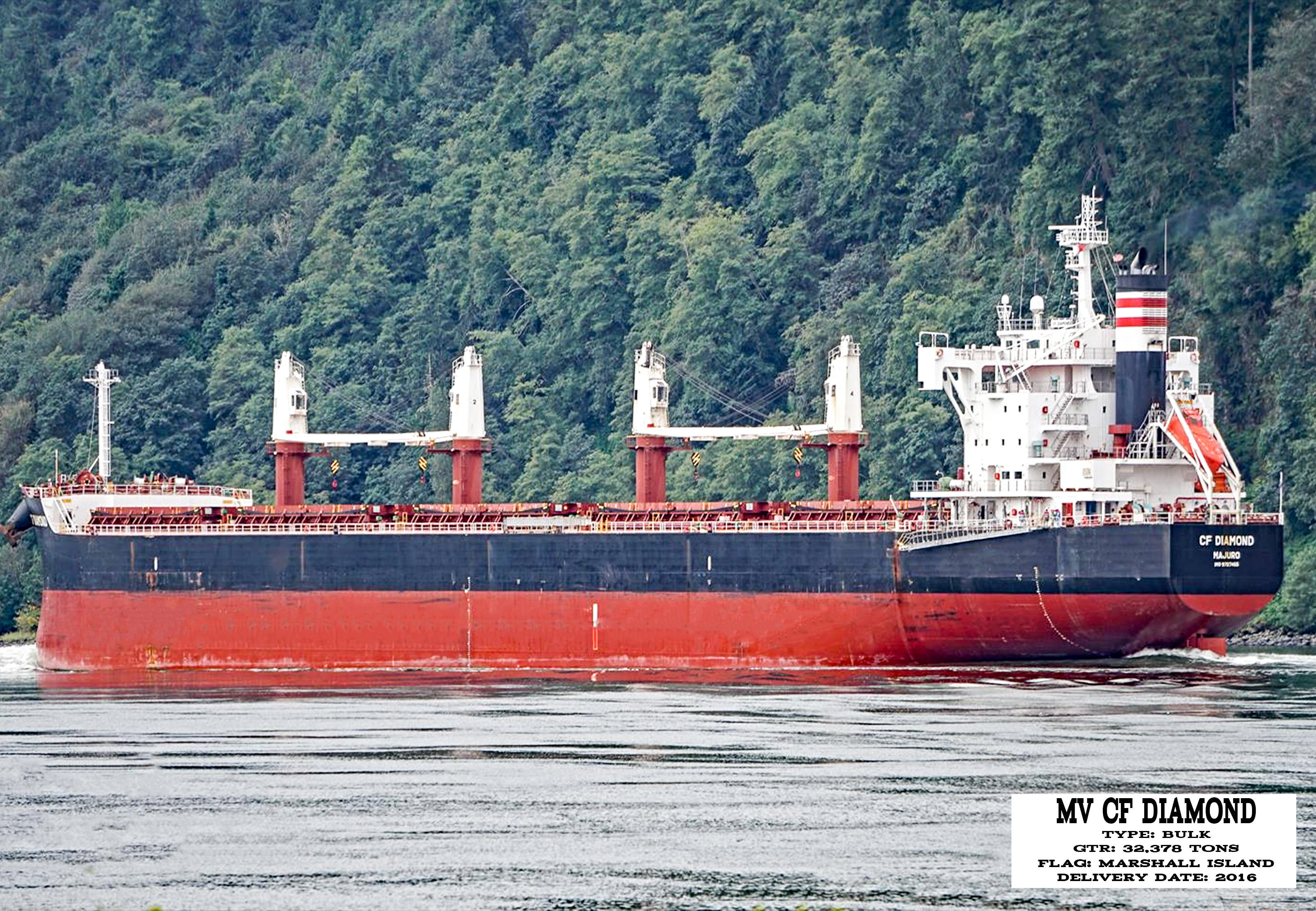 MV CF Diamond